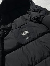 Brand New The North Face 550 Dry-Vent Hooded Jacket (Women's L)