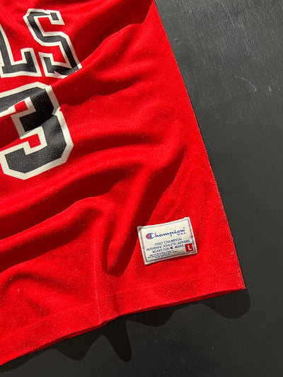 90's Chicago Bulls x Champion 'Scotty Pippen 33' Jersey (L)