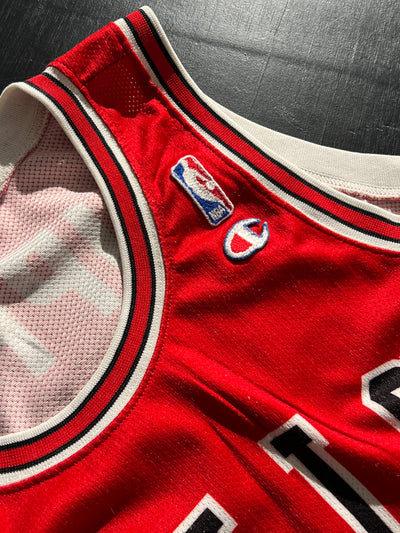 90's Chicago Bulls x Champion 'Scotty Pippen 33' Jersey (L)